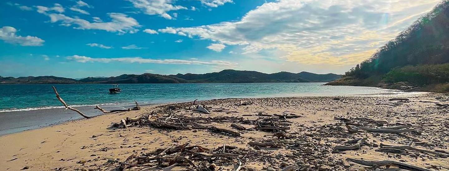 isal bolanos cover.jpg