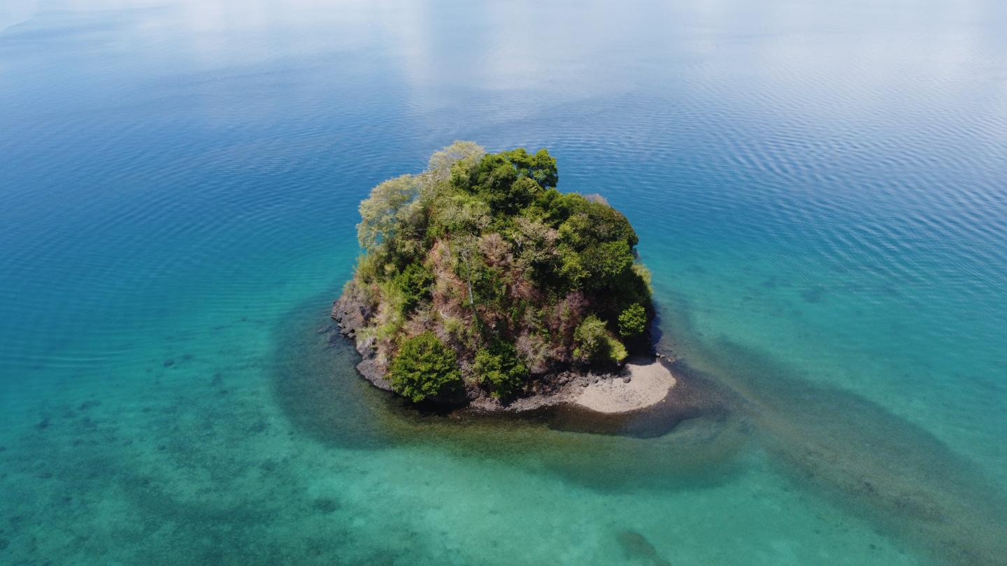 small island with trees in south pacific